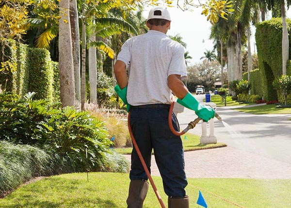 About Bacova VA Pest Control